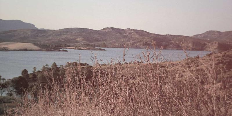 中远汇视角：构建会展专业人才核心能力培训体系——聚焦会议策划与展览展示实战培养