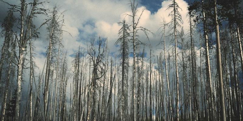 会展主办方与参展商合同风险管理：关键条款解读与常见纠纷规避指南