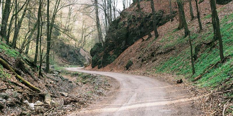 会展后客户关系维护：从会议策划到展览展示的深度跟进策略与长期价值挖掘