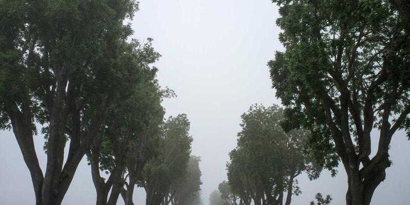 会展服务42：融合展览展示与活动策划的全方位解决方案