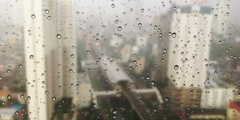 会展服务46：融合展览展示与会议策划的全方位解决方案