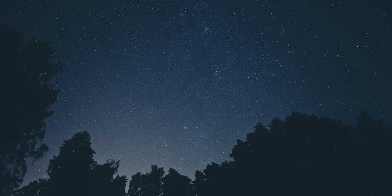 会展服务95：融合庆典活动与展览展示的现代会展新生态