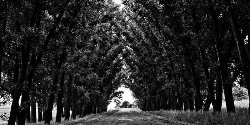 会展服务全攻略：掌握会议策划、展览展示与庆典活动的核心要诀