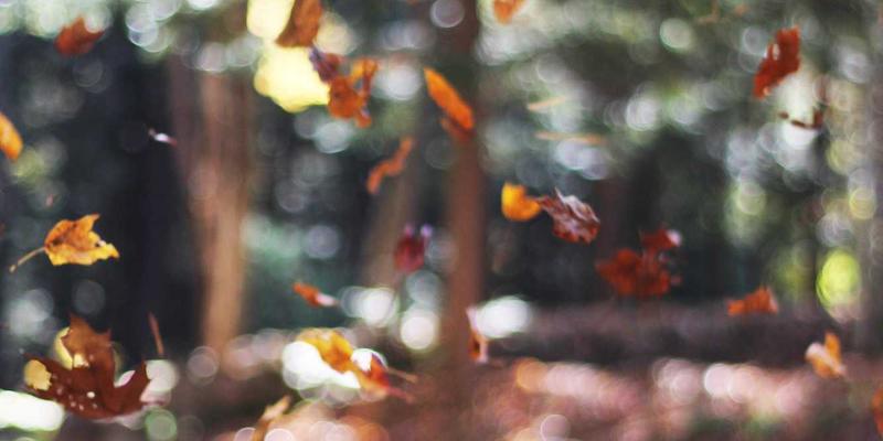 会展服务新纪元：如何通过专业庆典活动策划实现品牌价值最大化