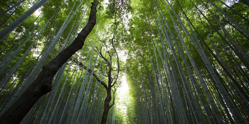 会展服务进阶：从基础执行到战略策划的三大跃迁路径