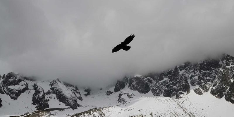 会展现场技术总控（VTC）的核心职责与最佳实践：赋能会议策划与庆典活动的幕后指挥官