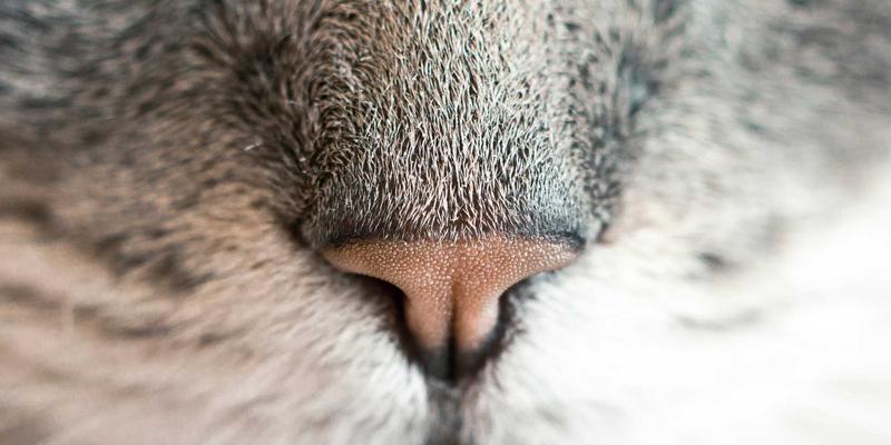 会展营销前置策略：中远汇教你如何通过内容营销精准吸引目标观众