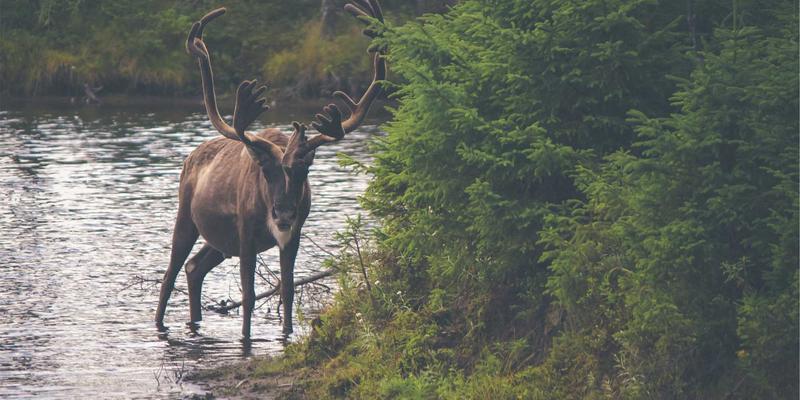 会展观众注册与签到流程优化：中远汇如何通过技术应用与体验提升实现高效活动策划与展览展示