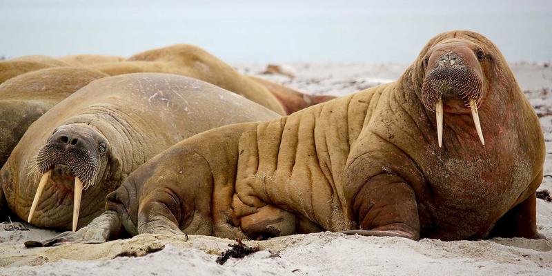 会议策划与庆典活动中的知识产权保护：展品与创意内容的合规管理指南