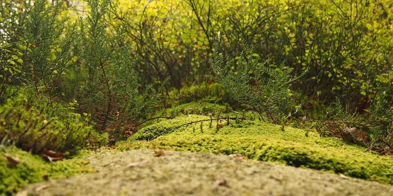 混合式会展模式策划：无缝衔接线下实体展览与线上虚拟互动的关键点 | 中远汇会议策划